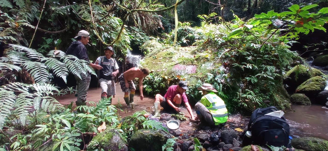 Field sample collection